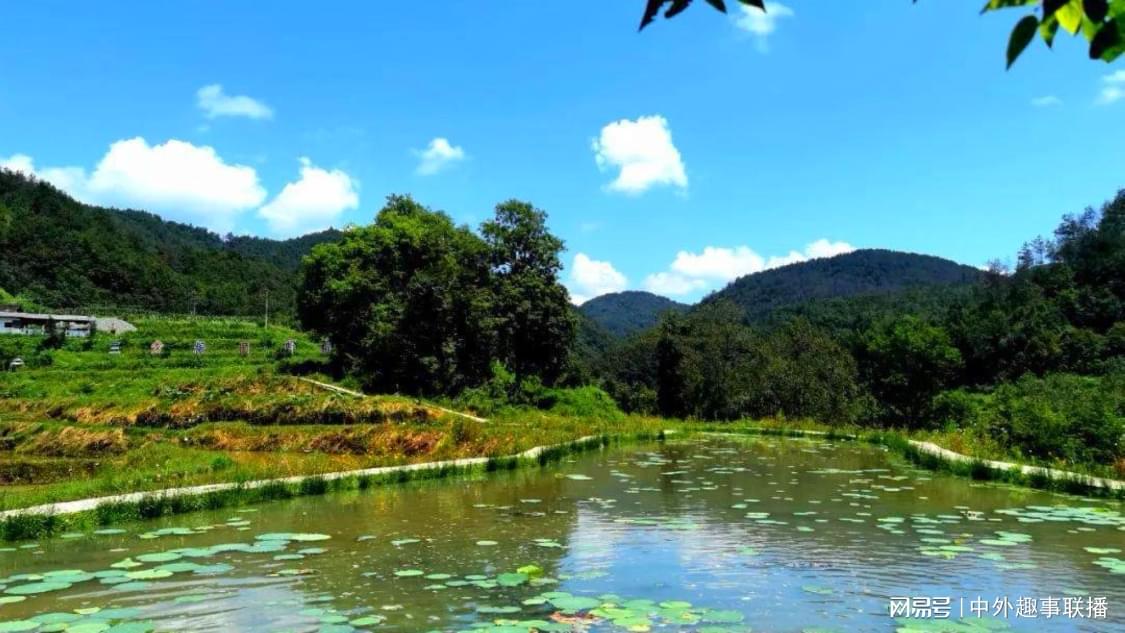 刚刚线上推广灵活化配置您的网络平台:全天候在线,随时掌控推广效果,抖音10双击自助下单平台：自助下单平台新趋势便捷服务引关注