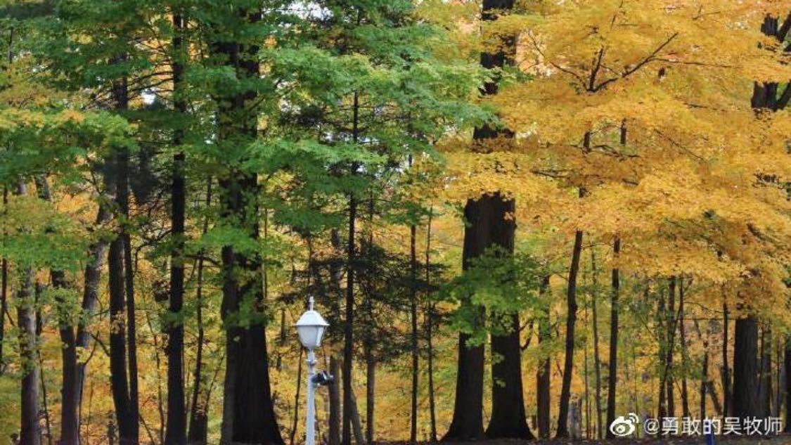 张一山回应曝光度变少